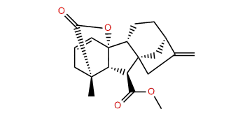 Gibberelline GA120-isolactone methyl ester